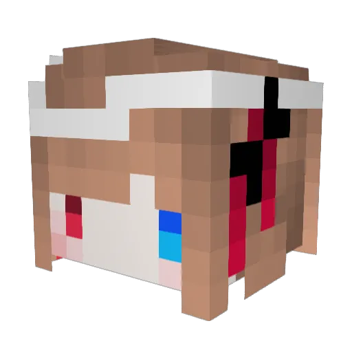 ZaikioNori Minecraft avatar head, 3D render