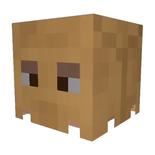 Zaiko251 Minecraft avatar head, 3D render