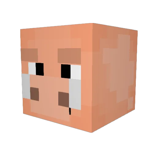 Zainopia Minecraft avatar head, 3D render