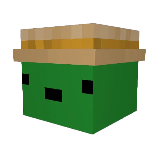 Zaint420 Minecraft avatar head, 3D render