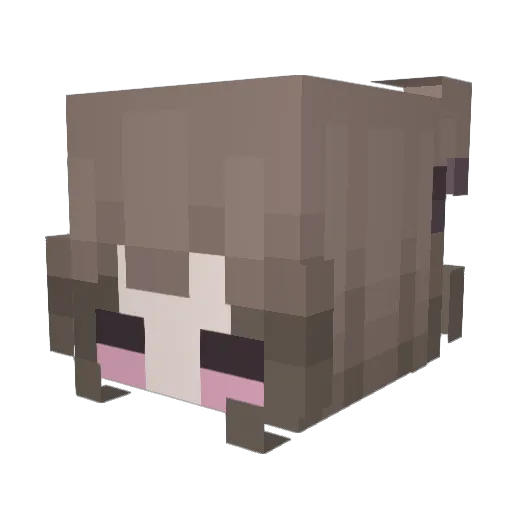 Zairaaaa Minecraft avatar head, 3D render