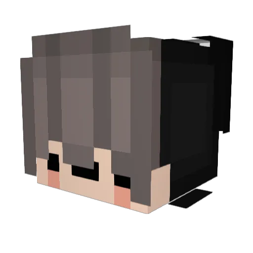 Zaiyer Minecraft avatar head, 3D render