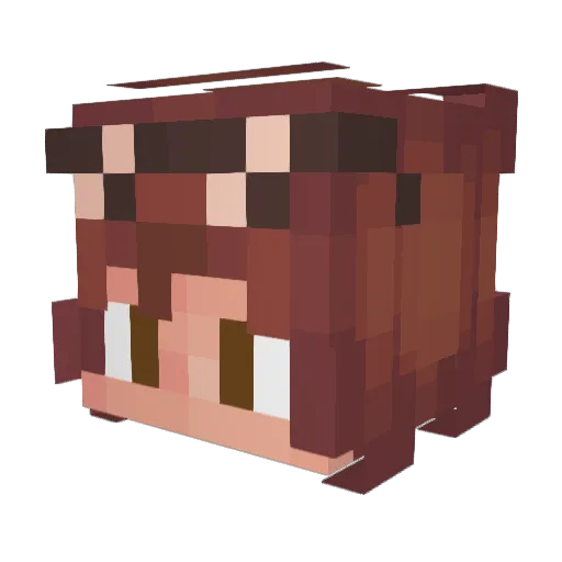 Zaizai271 Minecraft avatar head, 3D render