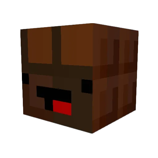 Zajko1908 Minecraft avatar head, 3D render