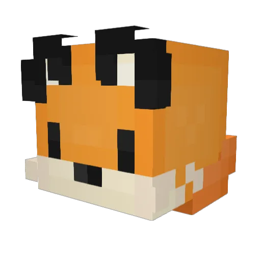 Zajonc_ Minecraft avatar head, 3D render