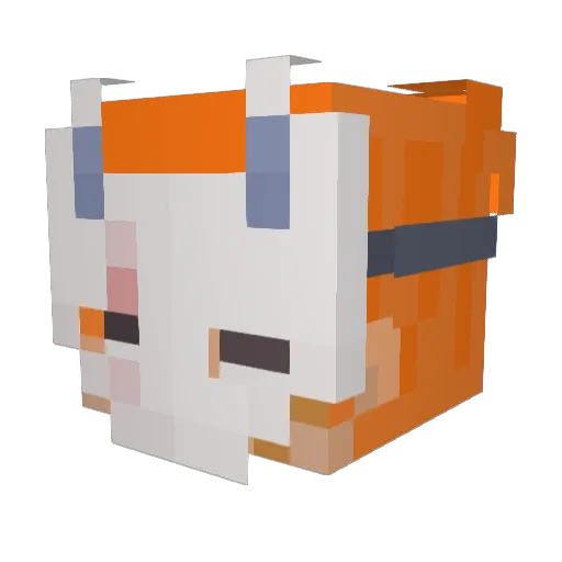 Zak4Gaming Minecraft avatar head, 3D render