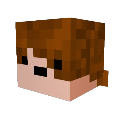 ZakBoii Minecraft avatar head, 3D render