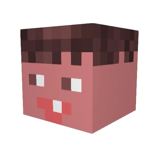 ZakC09 Minecraft avatar head, 3D render