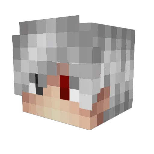 ZakNeverDies Minecraft avatar head, 3D render