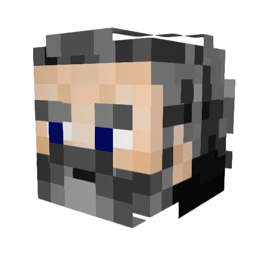 Zakerru Minecraft avatar head, 3D render