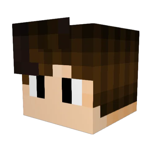 ZakiPoma Minecraft avatar head, 3D render