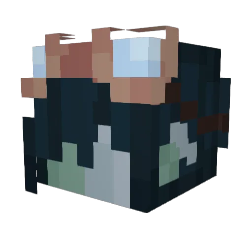 Zakirax Minecraft avatar head, 3D render