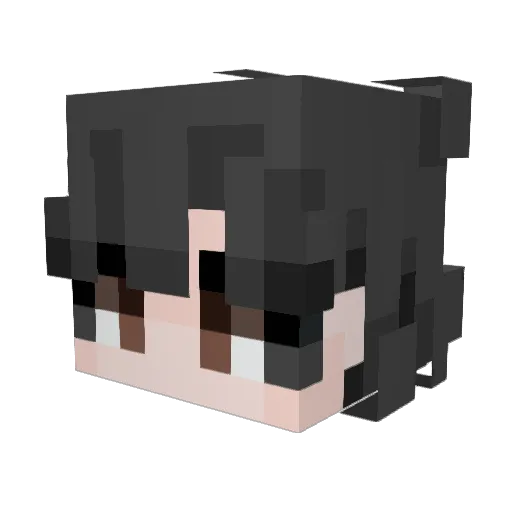 ZakisGayy Minecraft avatar head, 3D render