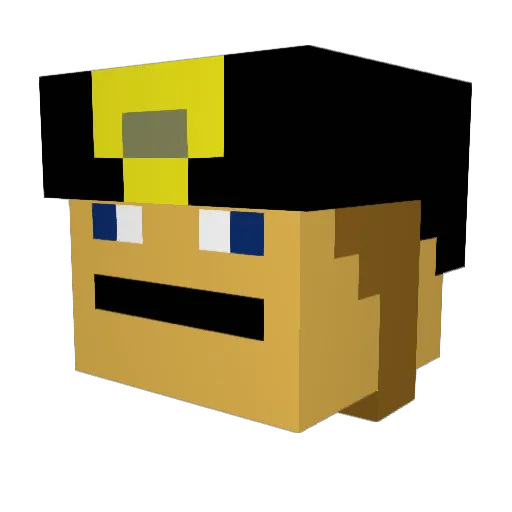 Zakkk_SkyBlock Minecraft avatar head, 3D render