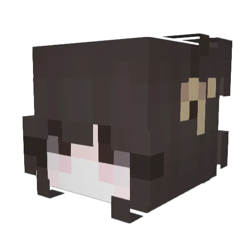 Zakoora_ Minecraft avatar head, 3D render