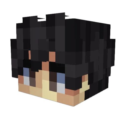 Zakro78 Minecraft avatar head, 3D render