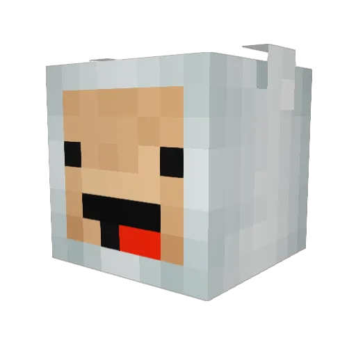 Zakssss Minecraft avatar head, 3D render