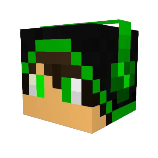 Zakywoo564 Minecraft avatar head, 3D render