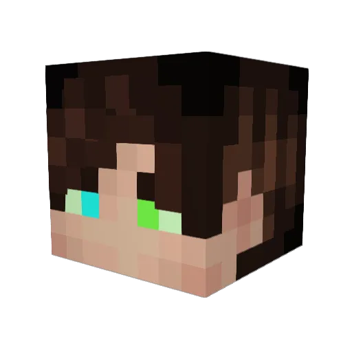 Zalder_98 Minecraft avatar head, 3D render
