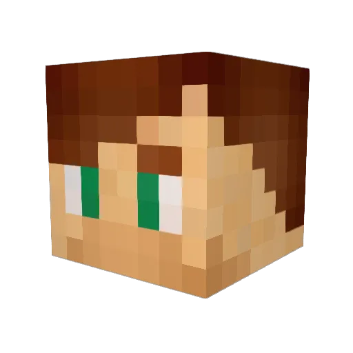 Zalesiu Minecraft avatar head, 3D render