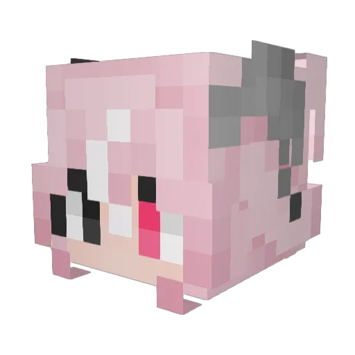 Zalgo353 Minecraft avatar head, 3D render