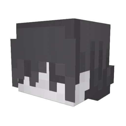 ZalinhodobleC Minecraft avatar head, 3D render