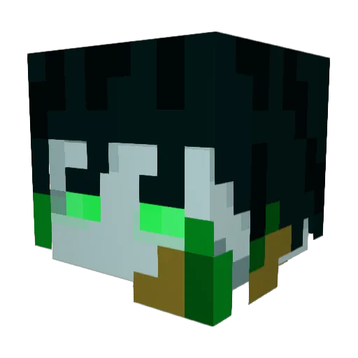 Zalkenar Minecraft avatar head, 3D render