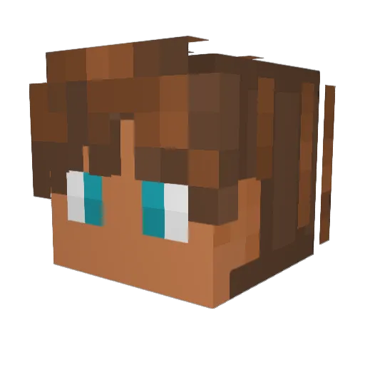 Zallen420 Minecraft avatar head, 3D render