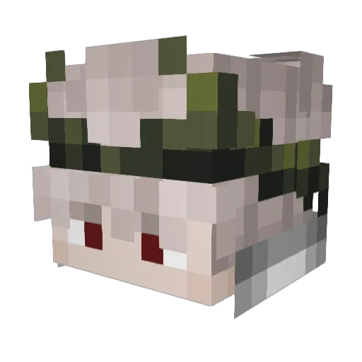 Zallexss Minecraft avatar head, 3D render