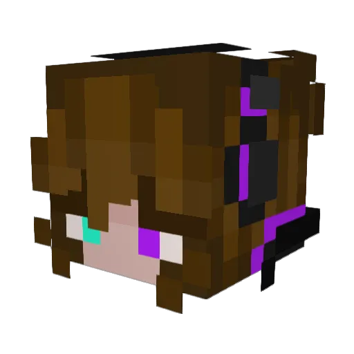 Zalxander Minecraft avatar head, 3D render