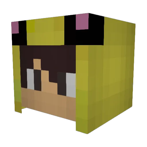 Zam851 Minecraft avatar head, 3D render