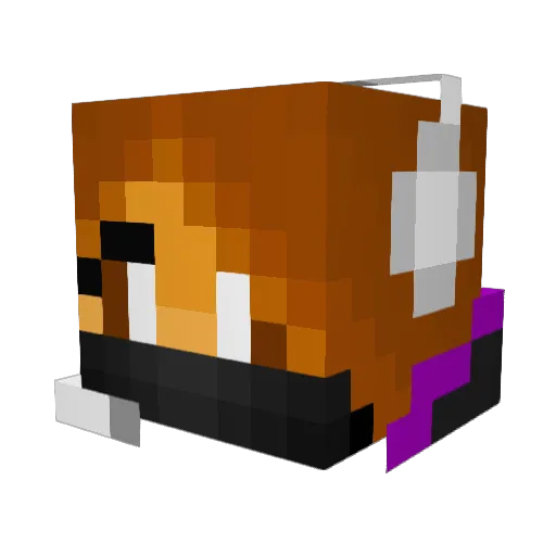 ZamZambiee Minecraft avatar head, 3D render