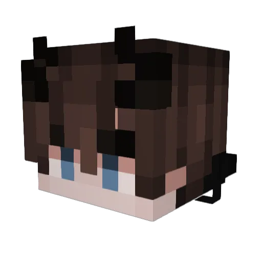 Zamasu6760 Minecraft avatar head, 3D render