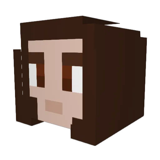 Zambomo Minecraft avatar head, 3D render