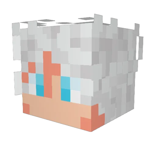 Zambss_ Minecraft avatar head, 3D render