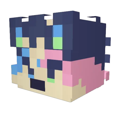 ZameerPlays Minecraft avatar head, 3D render