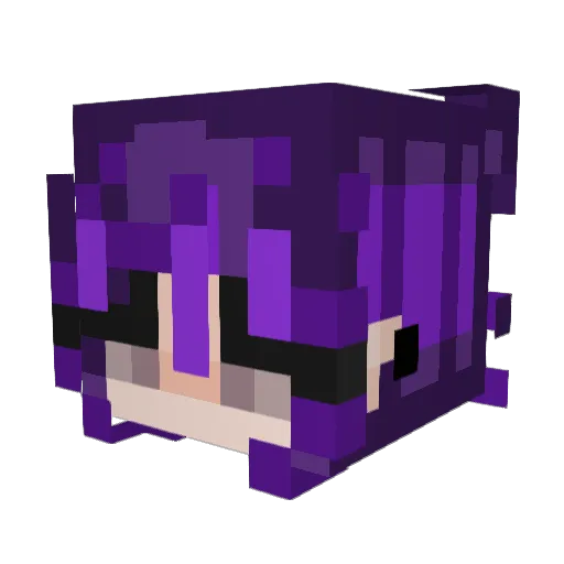 Zammyzam23 Minecraft avatar head, 3D render