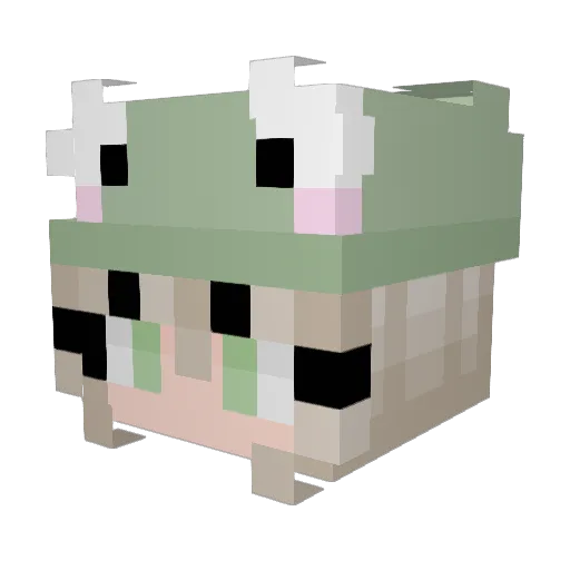 ZanaOla Minecraft avatar head, 3D render