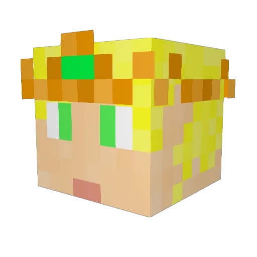 Zanarous Minecraft avatar head, 3D render