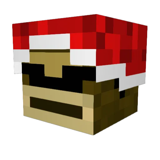 Zanazeen2004 Minecraft avatar head, 3D render