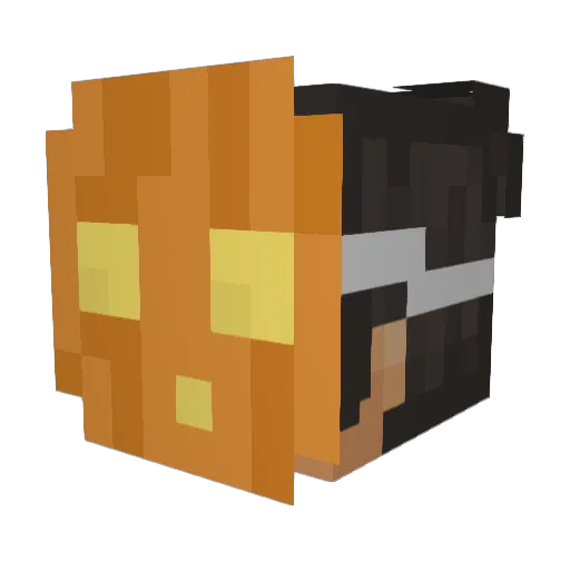 ZanderBM Minecraft avatar head, 3D render