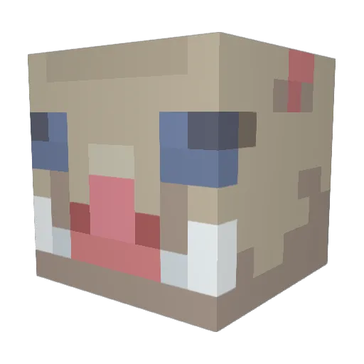 ZanderBlazer Minecraft avatar head, 3D render