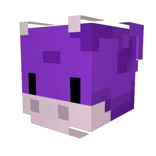 ZanderTriesMC Minecraft avatar head, 3D render