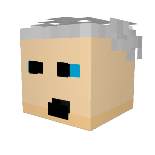 Zanderboy2443 Minecraft avatar head, 3D render