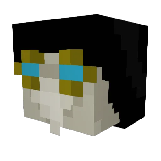 Zandercoe Minecraft avatar head, 3D render