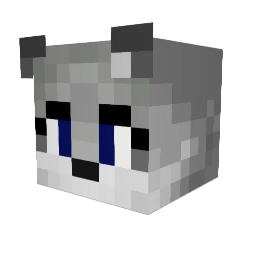 Zanderking5000 Minecraft avatar head, 3D render