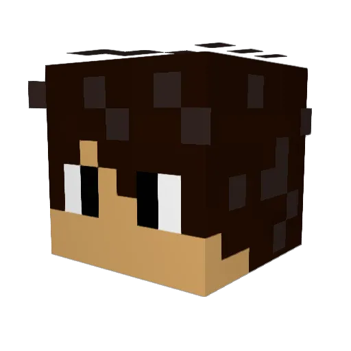 Zanderman10 Minecraft avatar head, 3D render