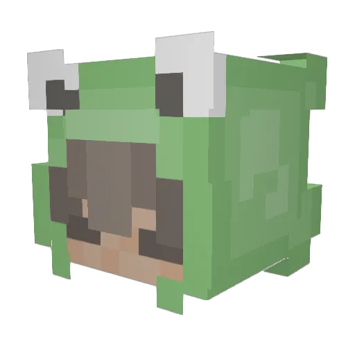 Zanderswill2live Minecraft avatar head, 3D render