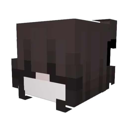 Zandokan Minecraft avatar head, 3D render