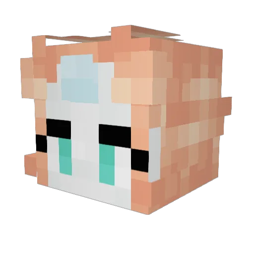 Zandra21 Minecraft avatar head, 3D render